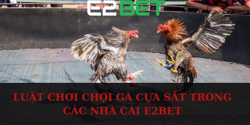 Luật chơi chọi gà cựa sắt trong các nhà cái E2bet