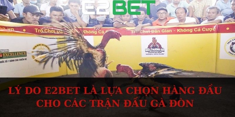 Lý do E2BET là lựa chọn hàng đầu cho các trận đấu gà đòn