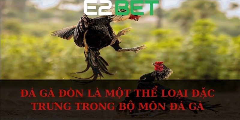 Đá gà đòn là một thể loại đặc trưng trong bộ môn đá gà