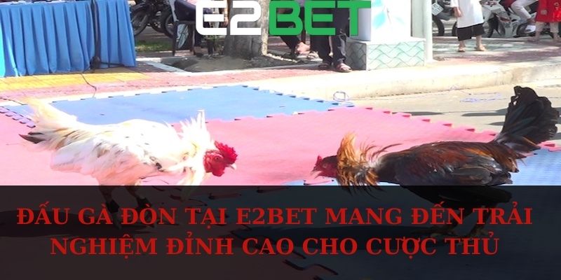 Đấu gà đòn tại E2BET mang đến trải nghiệm đỉnh cao cho cược thủ