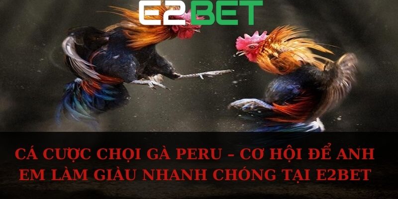 Cá cược chọi gà Peru – Cơ hội để anh em làm giàu nhanh chóng tại E2BET