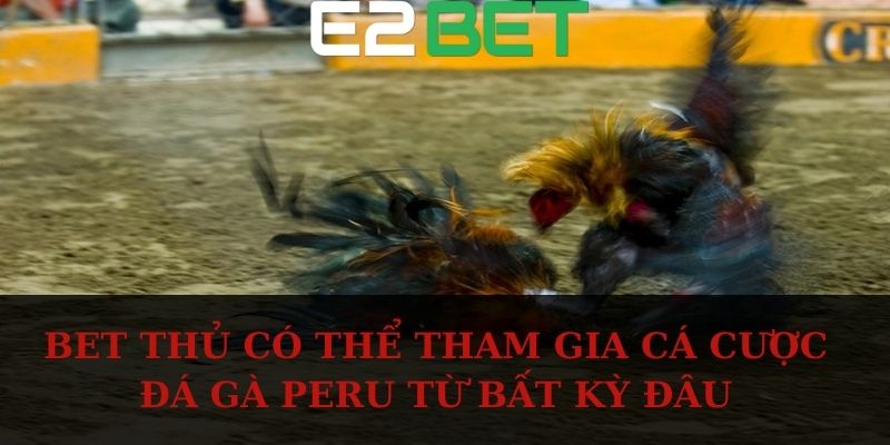 Bet thủ có thể tham gia cá cược đá gà Peru từ bất kỳ đâu